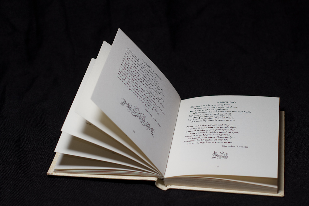 A cheap, but attractive book